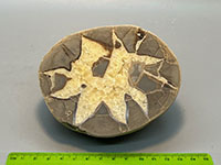 An oval gray rock with an irregular star-like cavity in the center filled with yellow calicte crystals